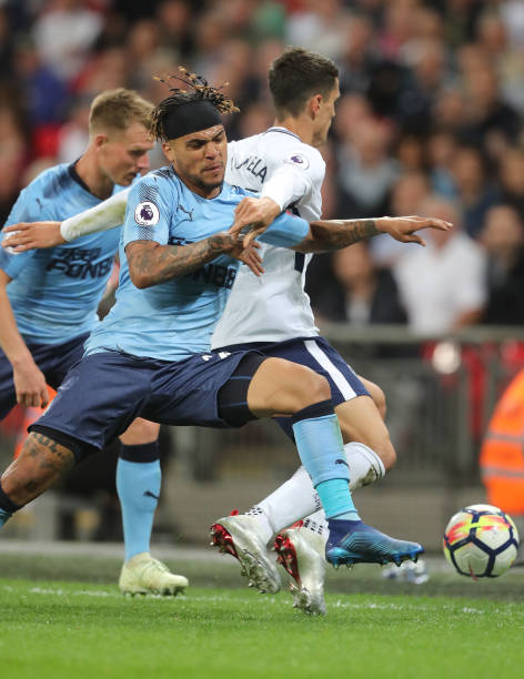 广岛三箭预 广岛三箭预