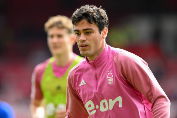 新字体的应 新字体的应